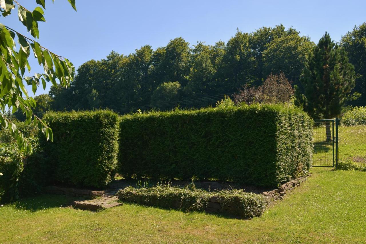Superior - Ferienhaus Am Engelsbach Im Thueringer Wald Εξωτερικό φωτογραφία