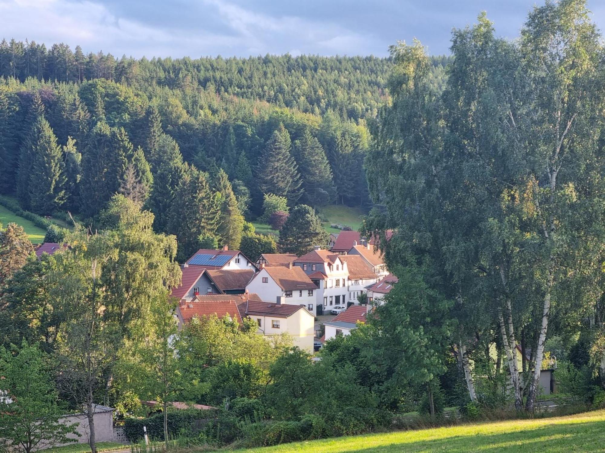 Superior - Ferienhaus Am Engelsbach Im Thueringer Wald Εξωτερικό φωτογραφία